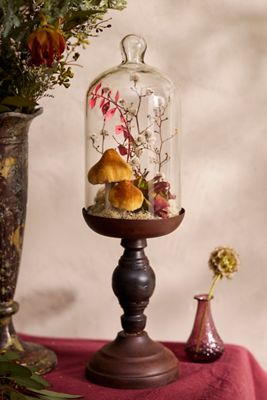 Miniature Glass + Iron Curiosity Cloche