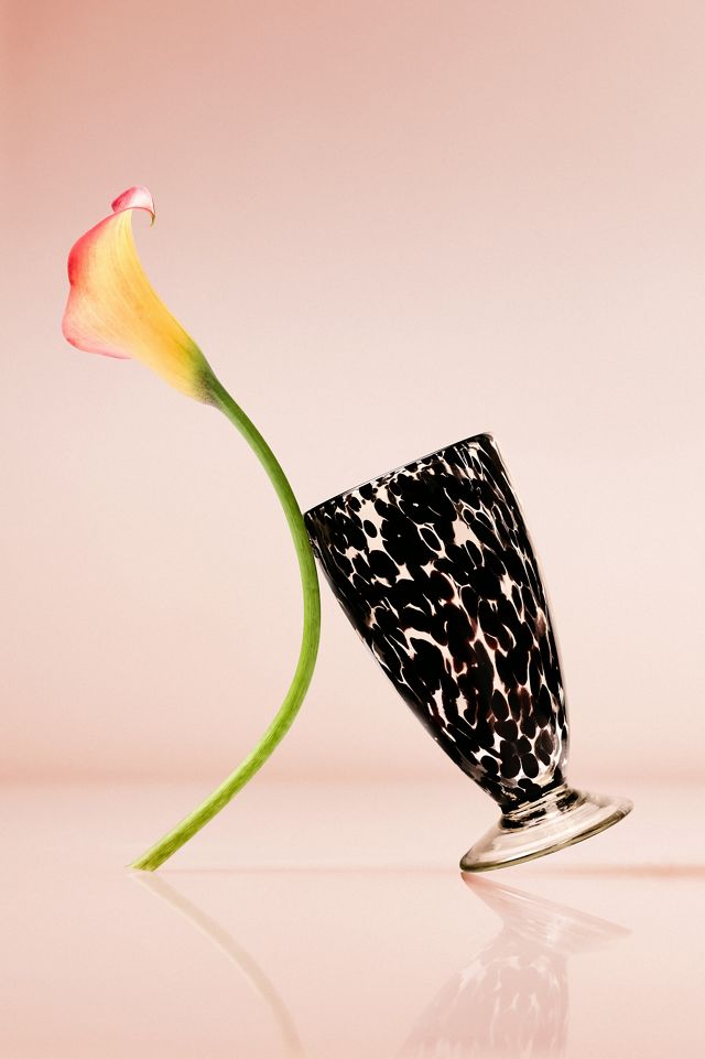 Gia Tortoise Goblet #4