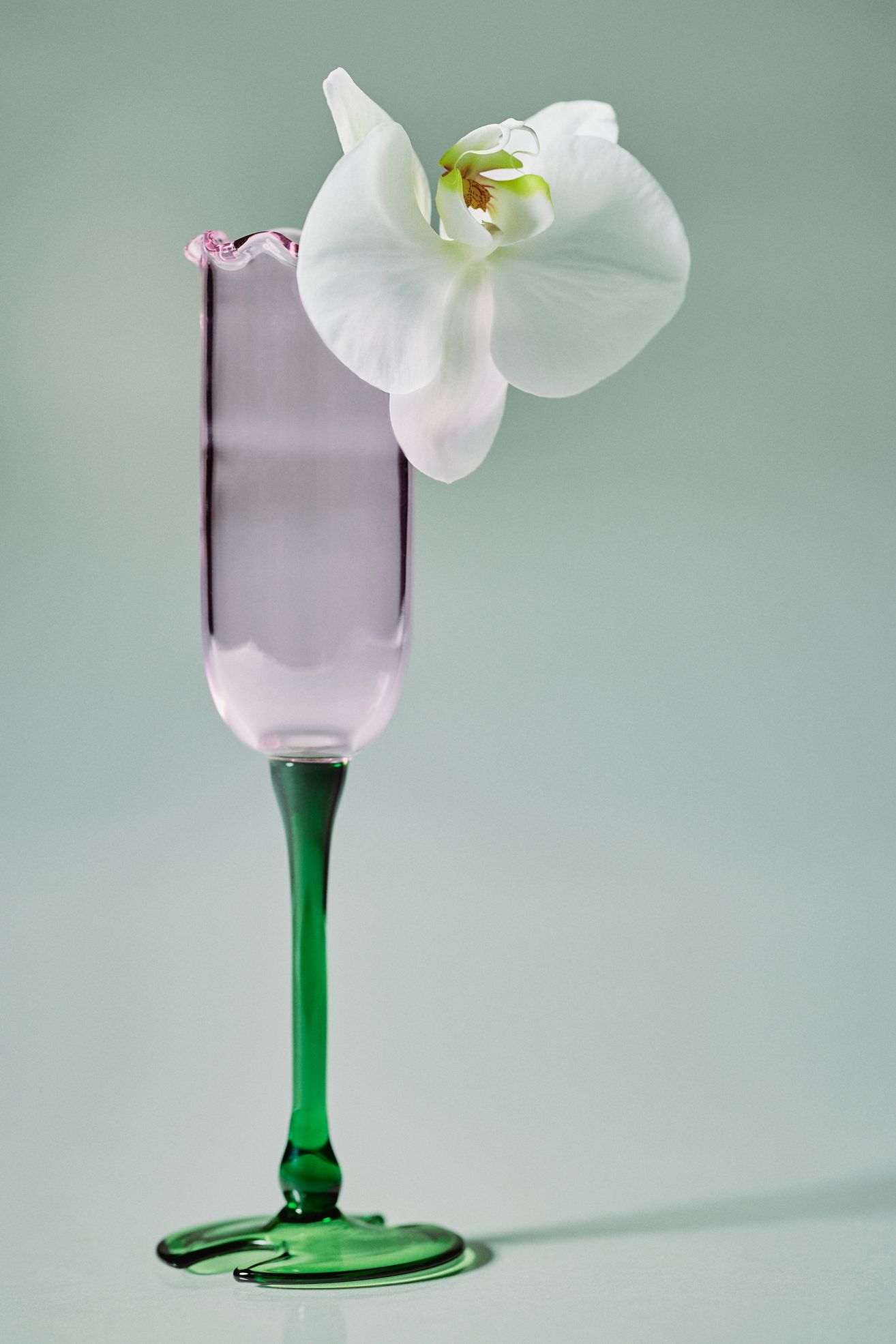 Lilypad Flute Glasses, Set of 4 - Pink, Standard, Set Of 4