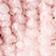 Pink  Cream