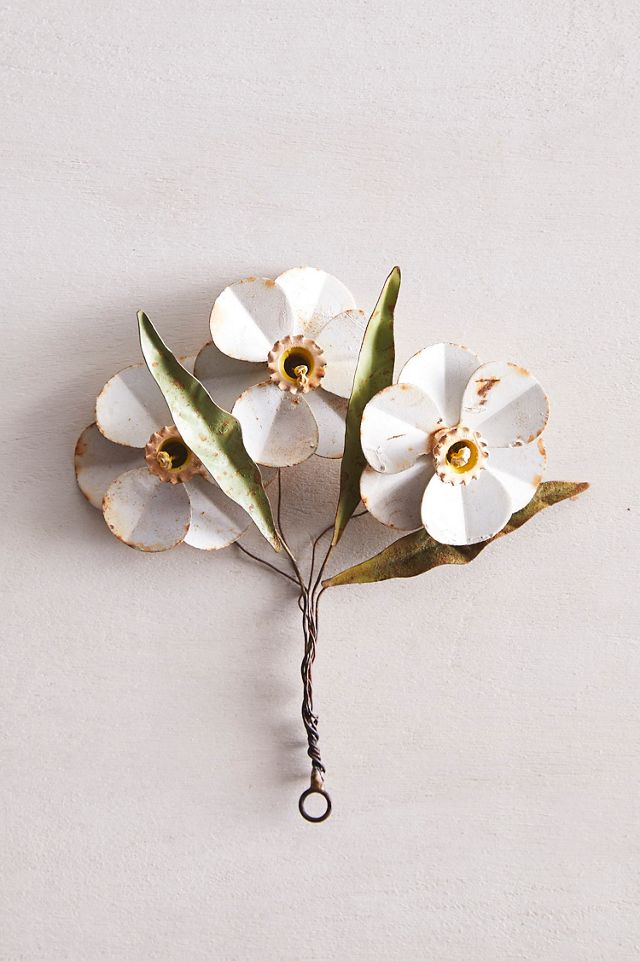 Daffodil Iron Bunch #1