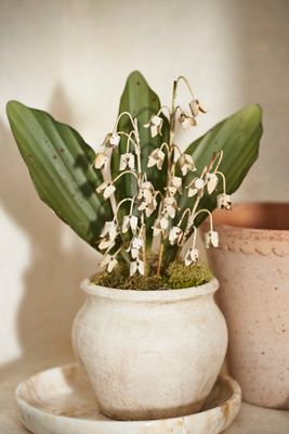 Lily of the Valley Iron Bunch