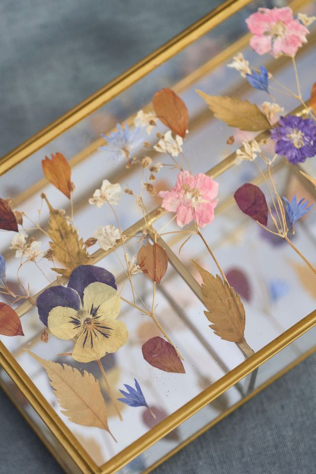 Pressed Floral Box #4