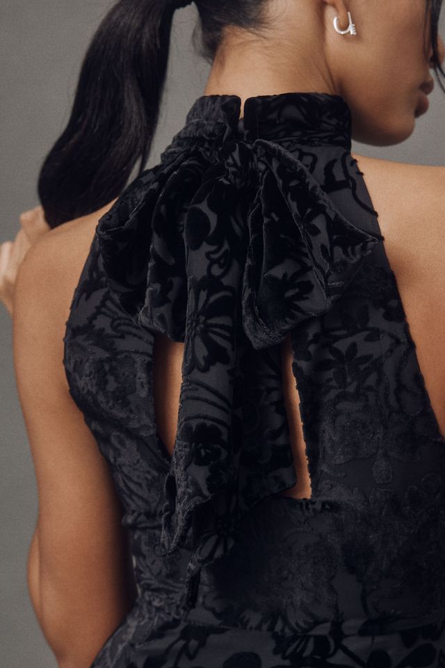 BHLDN Velvet Burnout High-Neck Maxi Dress #2