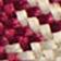 Bone/Cerise