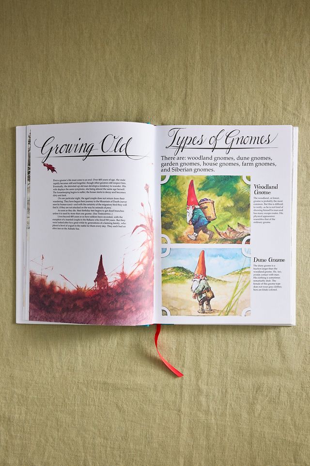 Gnomes #1