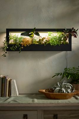 Modern Sprout Growframe Grow Light + Planter