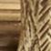 Aged Brass