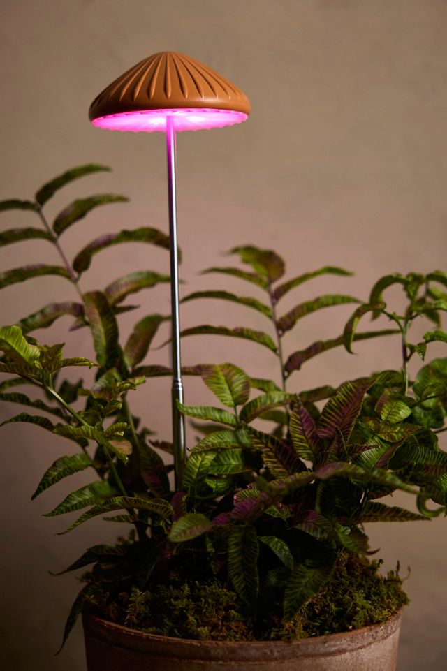 Mushroom LED Grow Light #1
