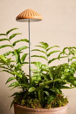 Mushroom LED Grow Light