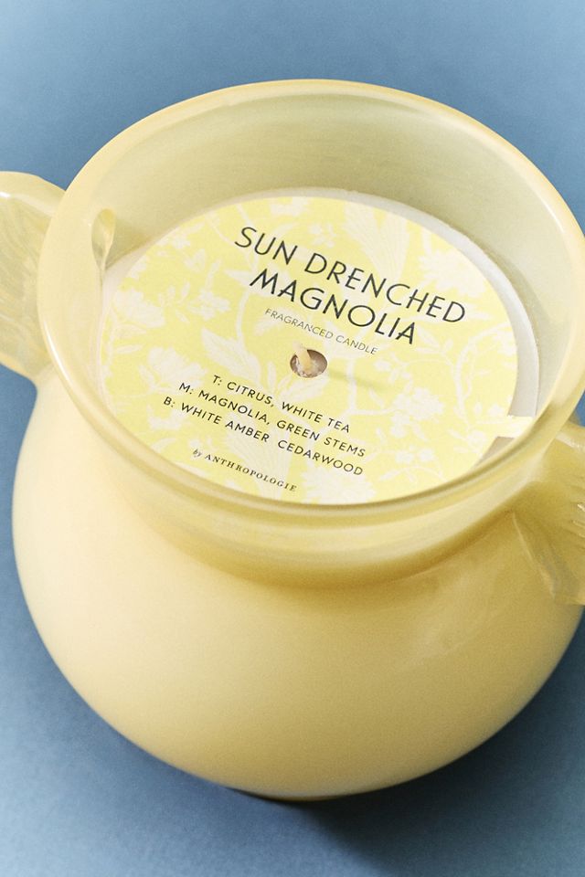Daphne Floral Sundrenched Magnolia Glass Candle #2