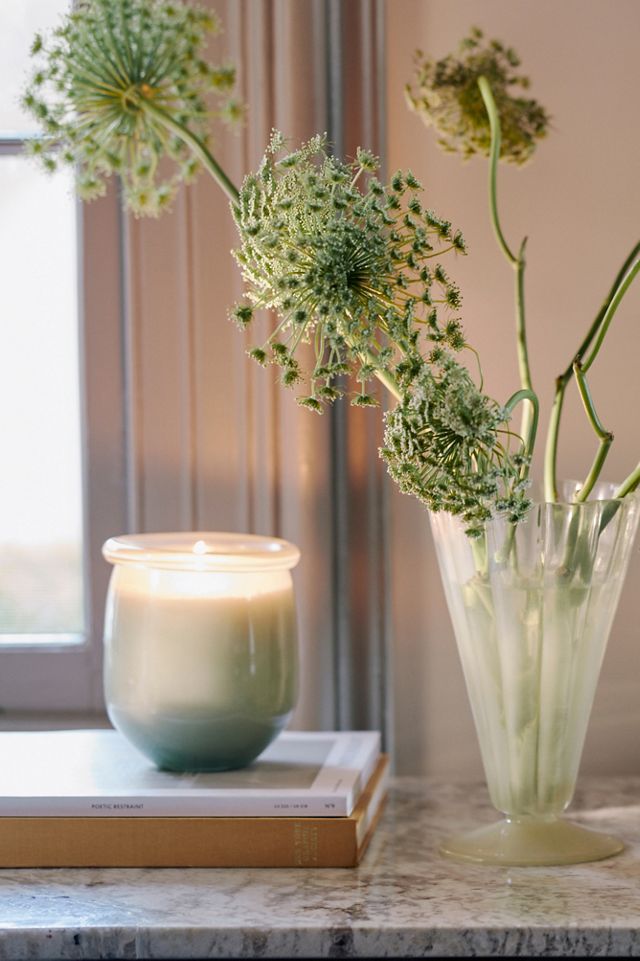 Honeypot Woody Spring Rain & Bright Bergamot Glass Candle | AnthroHome