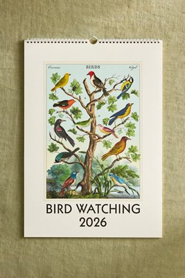Terrain Bird Watching 2026 Wall Calendar In Multi