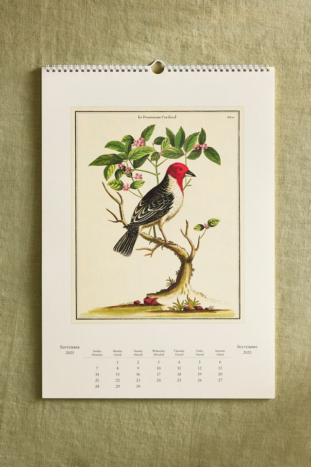 Bird Watching 2026 Wall Calendar #2