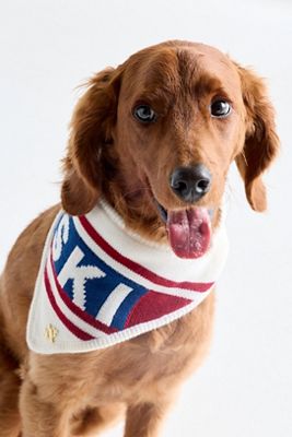 The Deluxe Pup Holiday Knit Pet Bandana