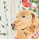 Dog Xmas