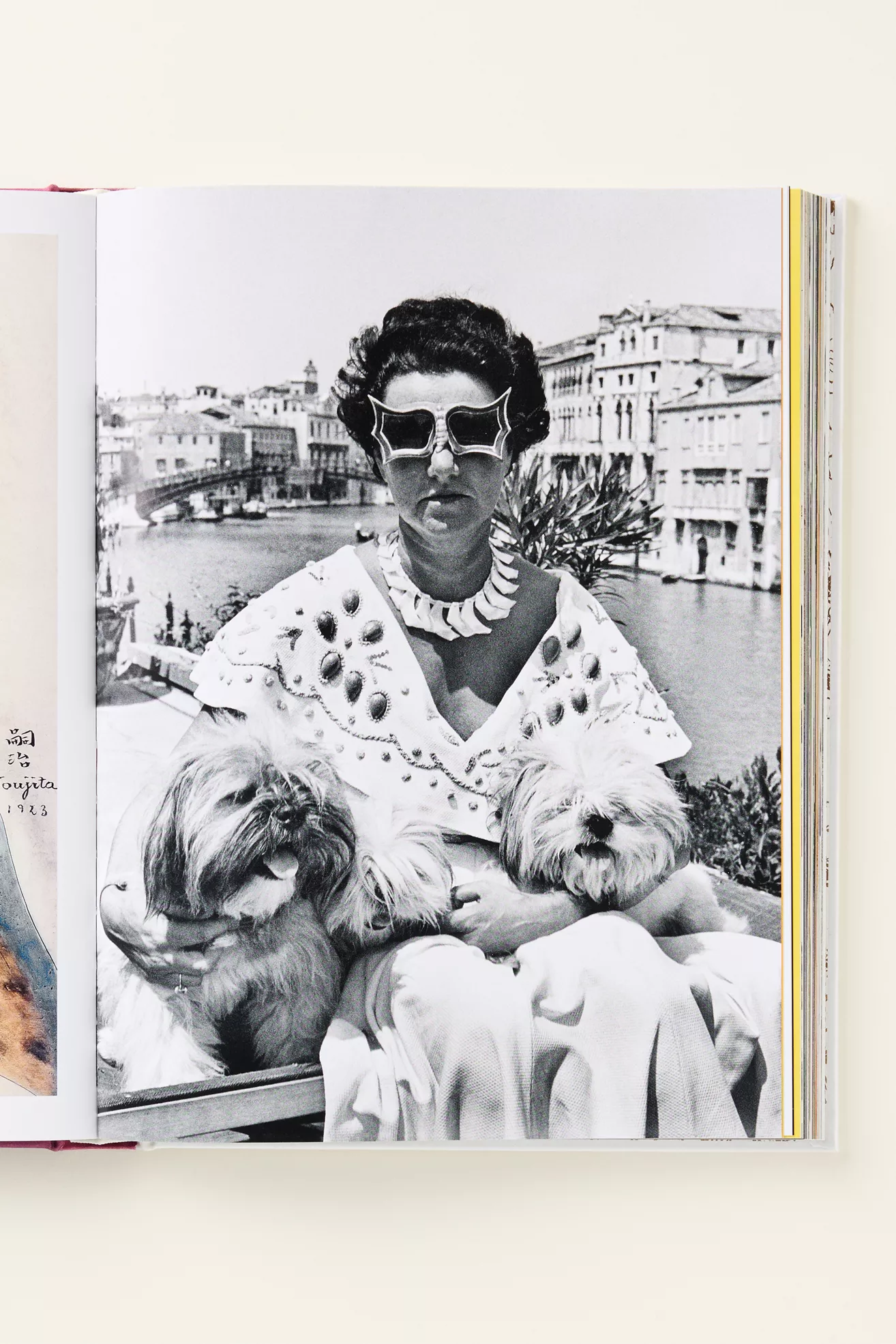 Chic Pet Hardcover Book - thumbnail 5