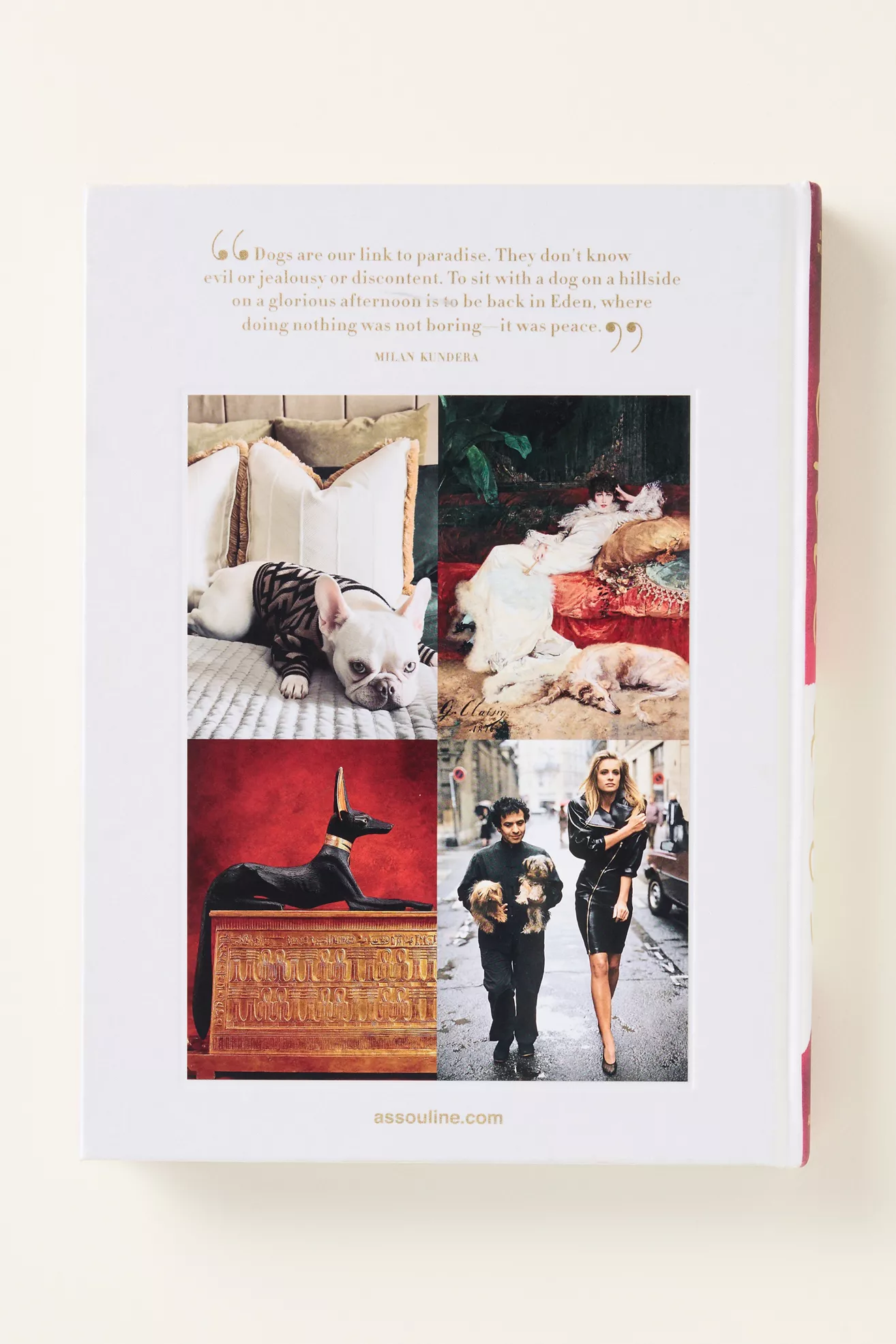 Chic Pet Hardcover Book - thumbnail 7