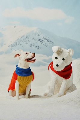 Faux Fur Dog Sweater