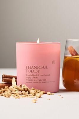 Anecdote Spice Thankful Toddy Boxed Glass Candle