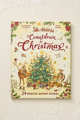 Countdown to Christmas Advent Calendar Book