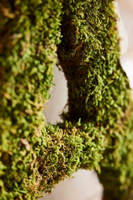 Sheet Moss Letter