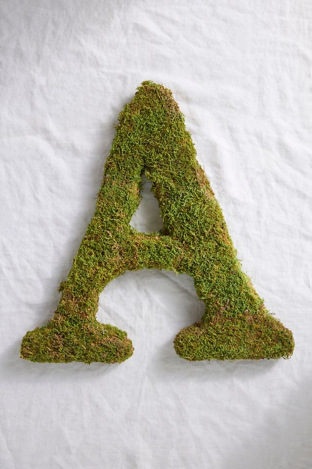 Sheet Moss Letter #1