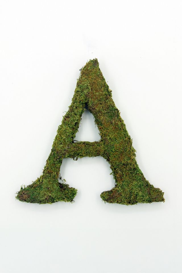 Sheet Moss Letter #3