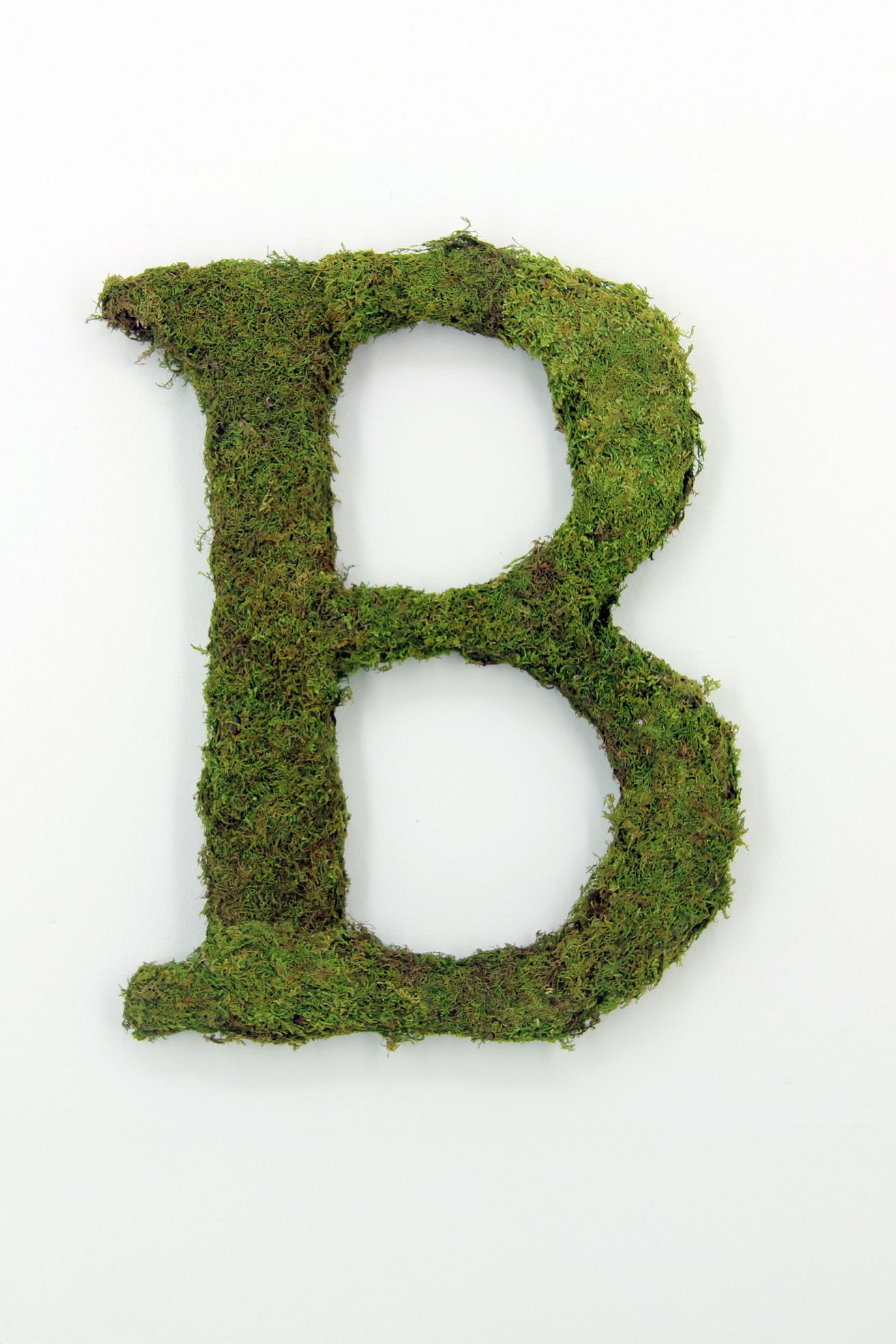 Sheet Moss Letter - B, Standard, One Size
