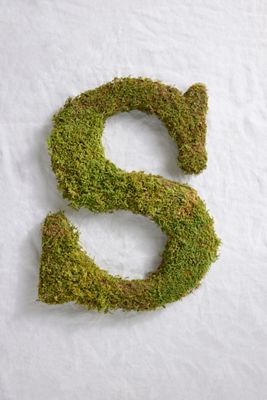 Sheet Moss Letter