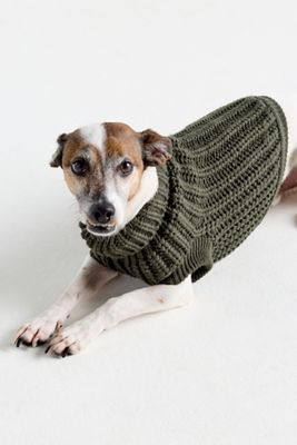 Barbour Saltburn Dog Jumper