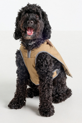 Barbour Monmouth Dog Coat Jacket In Neutral