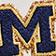 University Of Michigan