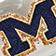 University Of Michigan