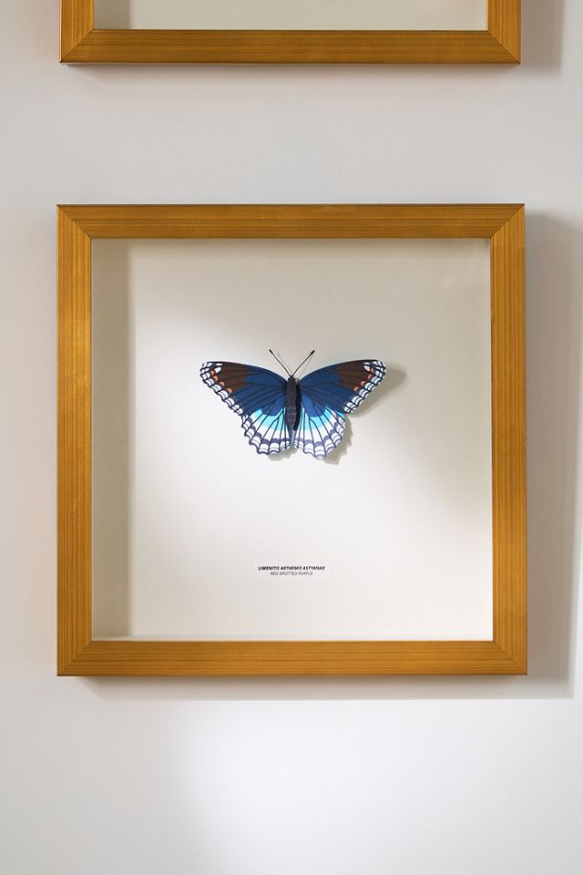 JUDiTH+ROLFE x Nest Butterfly Wall Art #1