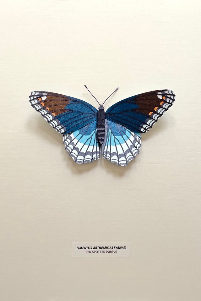 JUDiTH+ROLFE x Nest Butterfly Wall Art #2