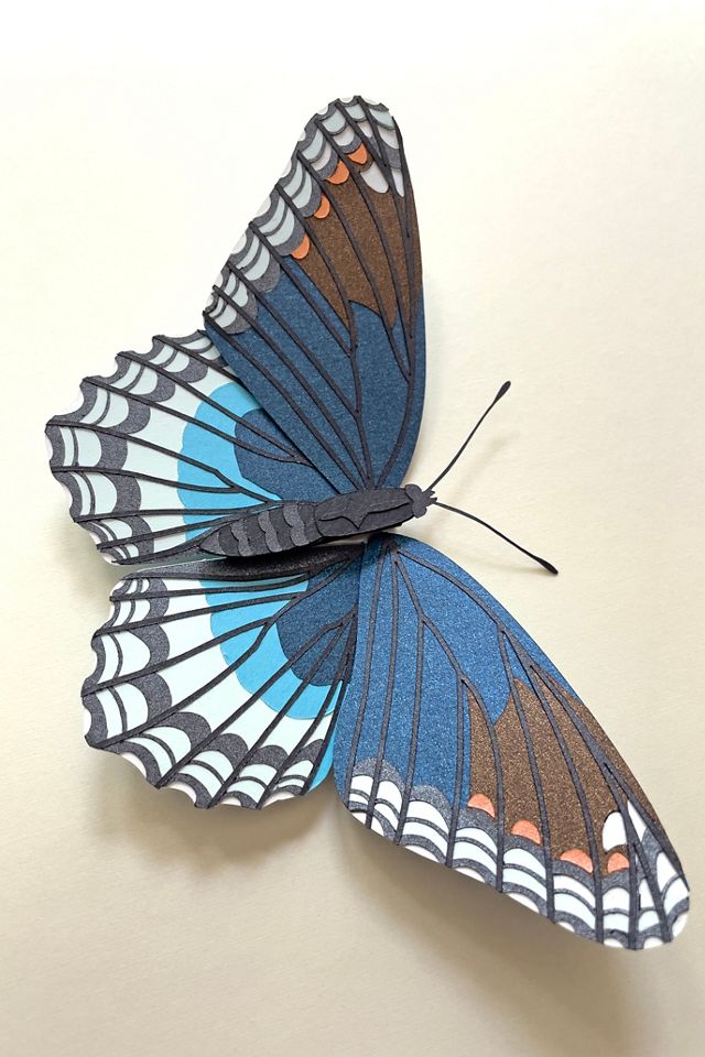 JUDiTH+ROLFE x Nest Butterfly Wall Art #3