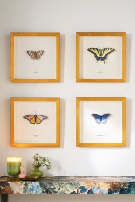 JUDiTH+ROLFE x Nest Butterfly Wall Art