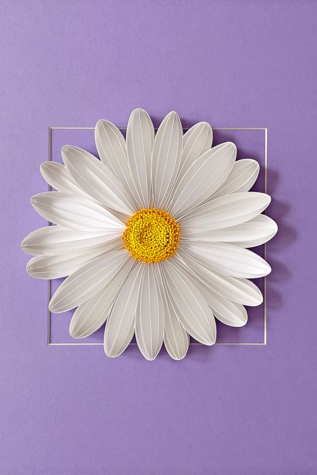 JUDiTH+ROLFE x Nest Daisy Wall Art #1