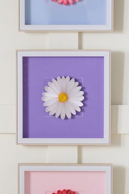 JUDiTH+ROLFE x Nest Daisy Wall Art