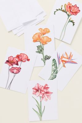 JUDiTH+ROLFE x Nest Greeting Cards