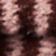 Pink Stripe