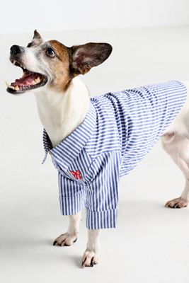 Cupid's Bow Striped Pet Button-Up