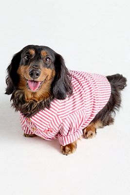 Cupid's Bow Striped Pet Button-Up