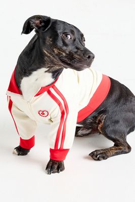 Ace of Hearts Pet Track Jacket