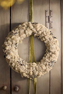 Preserved Moss + Lichen Wreath
