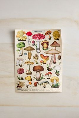 Vintage Mushrooms Mini Puzzle