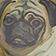 Pug