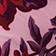 Purple Pattern