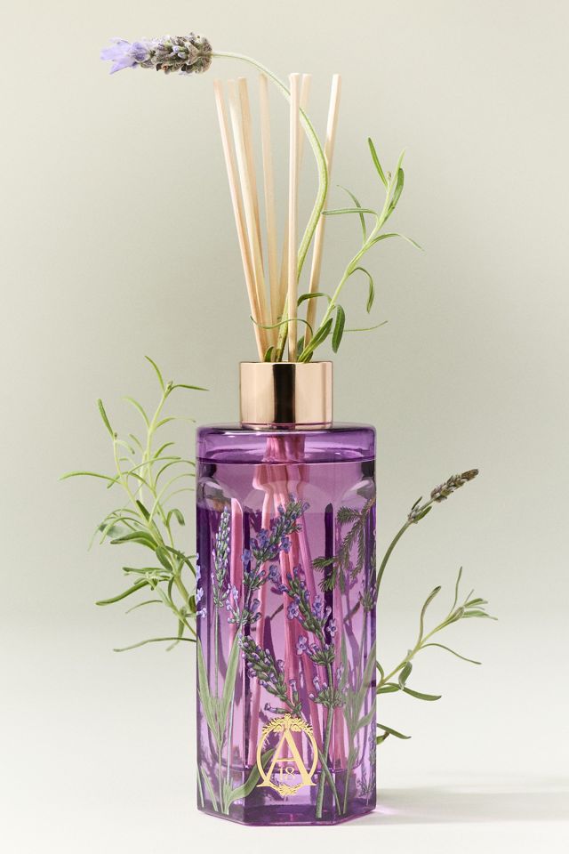 Apothecary 18 Fresh Lavender Balsam Glass Reed Diffuser | AnthroHome